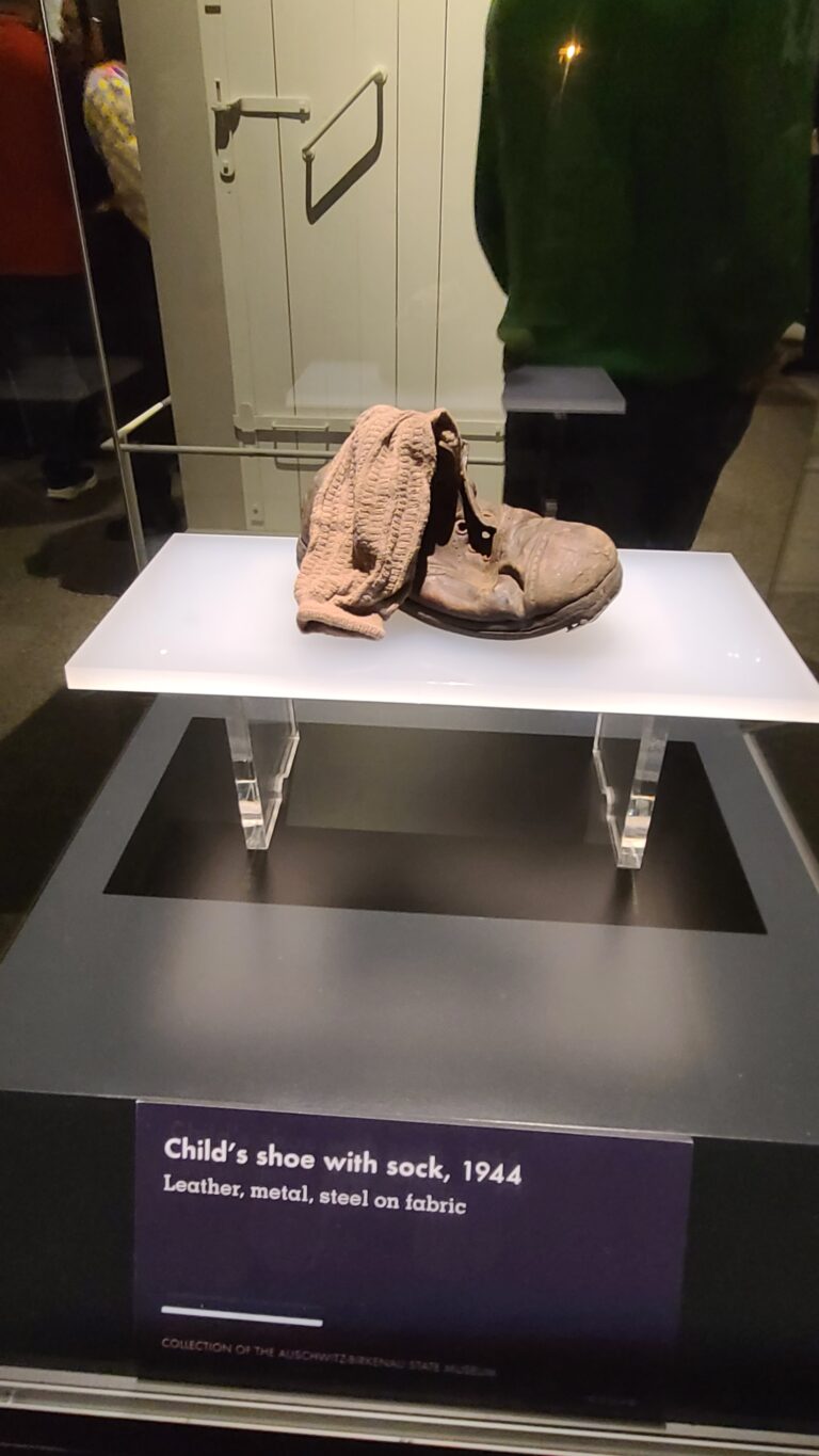 EPIC Educators: Navigating the Past to Inspire the Future